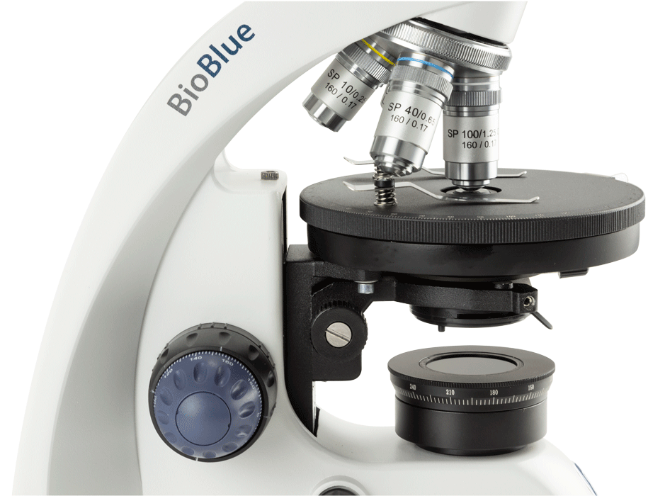 BioBlue