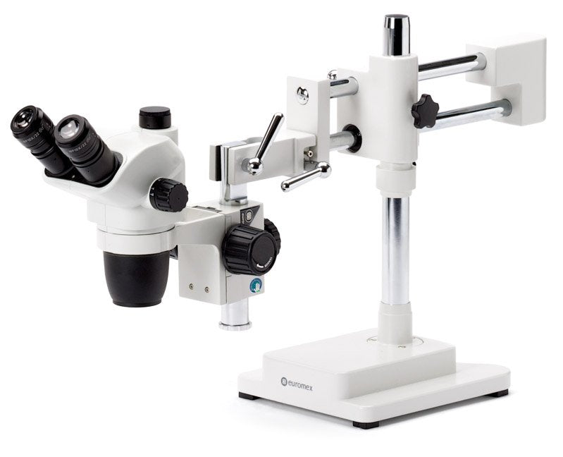 NexiusZoom (EVO)