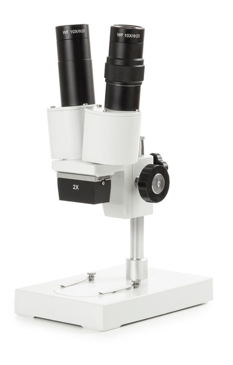 Stéréomicroscopes binoculaires