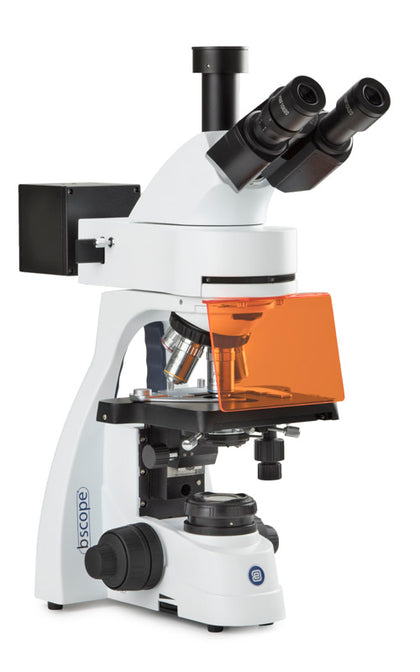 Microscope trinoculaire BS.3153-PLi/HBO