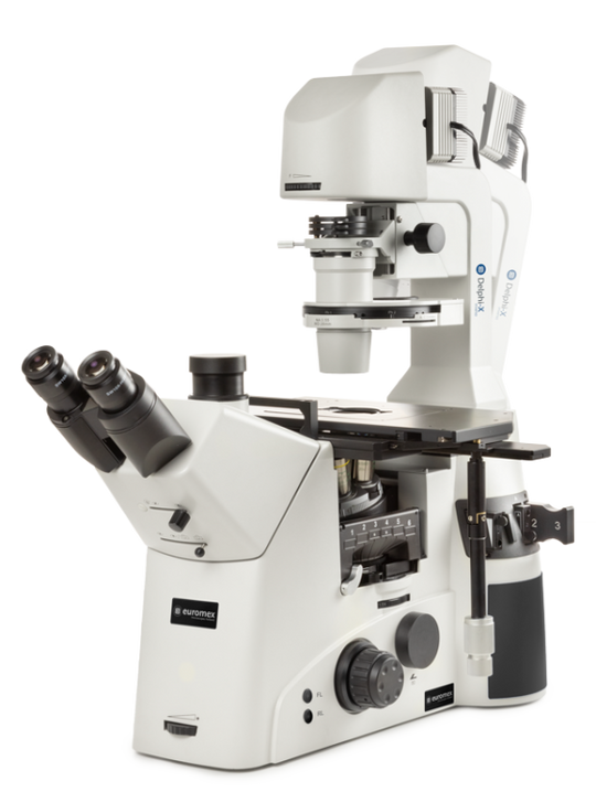 Microscopio Trinocular invertido Delphi-X Inverso DI.2053-PLPHFi - www.letscopes.com