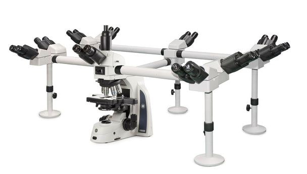 Microscope multi-têtes 10 observateurs Delphi-X Observer DX.1156-PLi/10 - www.letscopes.com