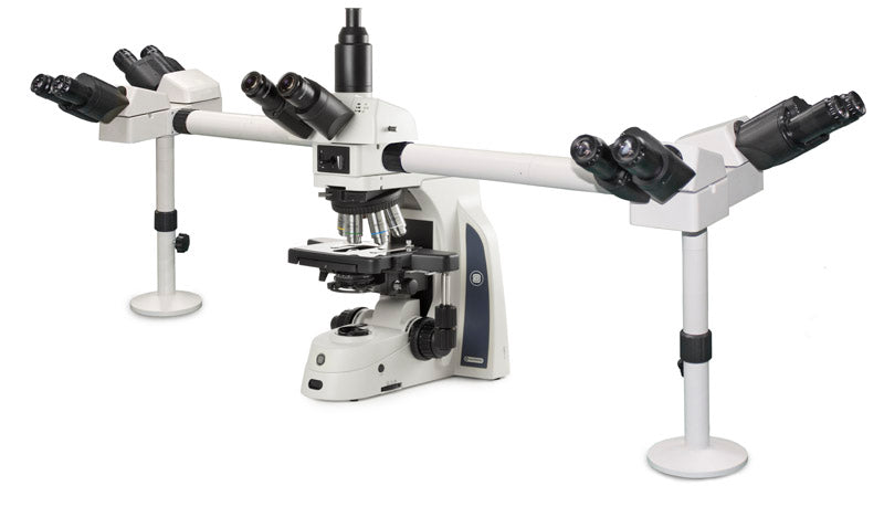 Delphi-X Observer multi-head microscope for 5 observers DX.1156-PLi/5 - www.letscopes.com