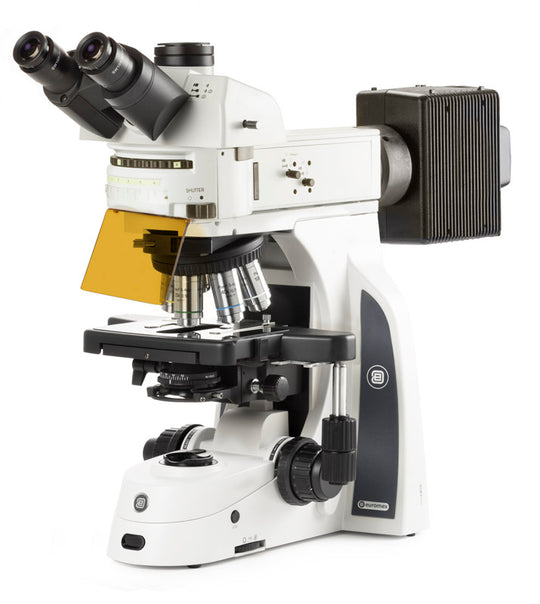 Microscopio Trinocular  DX.3153-APLi - www.letscopes.com
