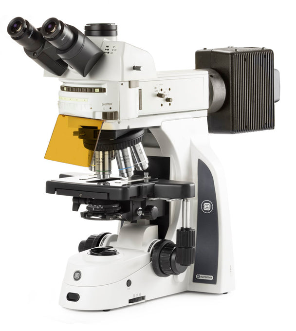 Microscopio Trinocular  DX.3153-APLi - www.letscopes.com