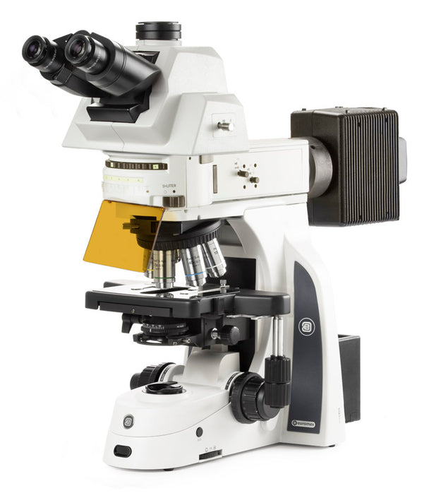 Microscopio Trinocular ergonómico  DX.3158‑APLi/HAL - www.letscopes.com