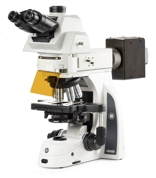 Microscopio Trinocular ergonómico  DX.3158‑APLi - www.letscopes.com