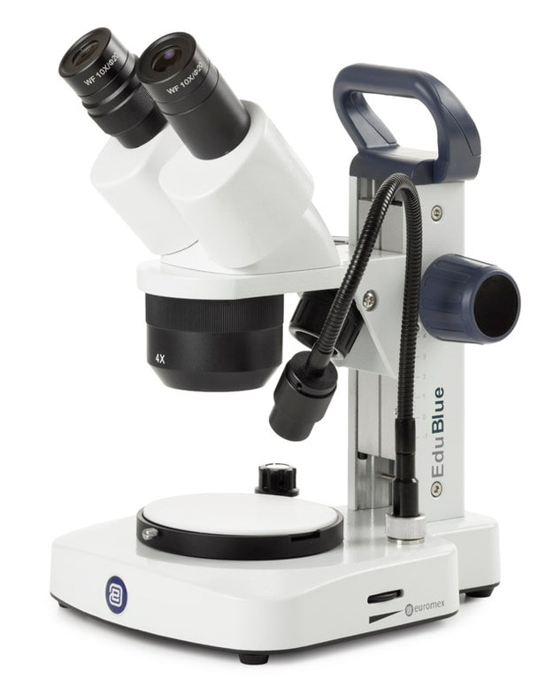 Estereomicroscopio Binocular  ED.1402-EVO - www.letscopes.com