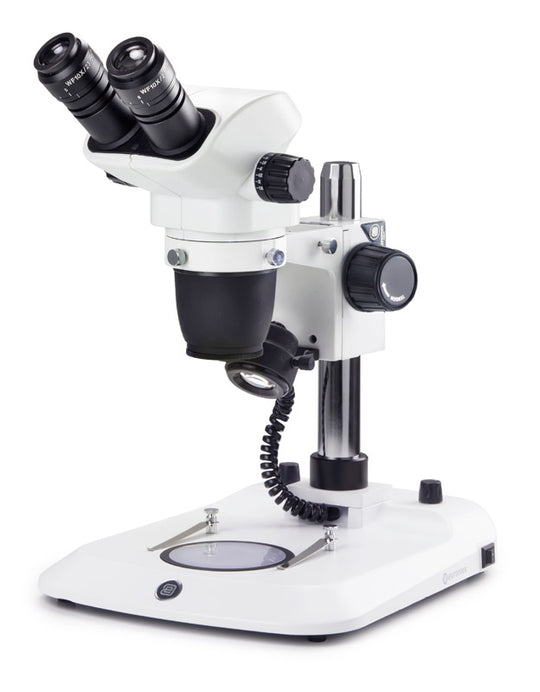 Estereomicroscopio Binocular  NZ.1702-P - www.letscopes.com