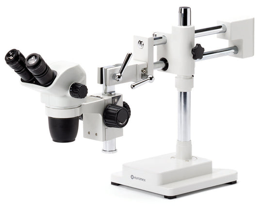 Estereomicroscopio  Binocular  NZ.1902-B - www.letscopes.com