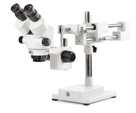 Estereomicroscopio Binocular  SB.1902-B - www.letscopes.com